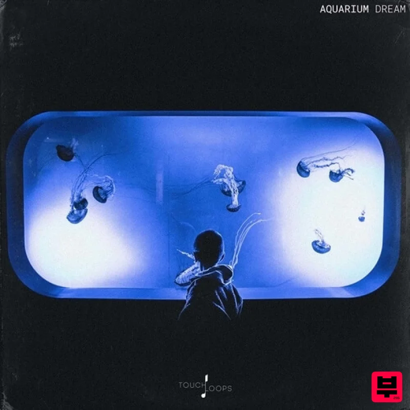 Touch Loops Aquarium Dream - Professional Music Instrument Photo