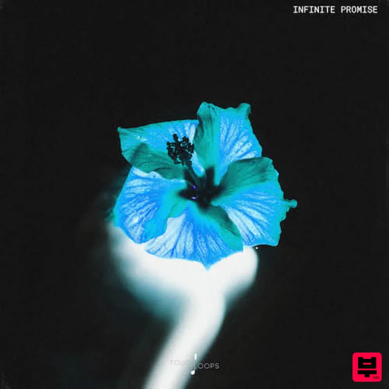 Touch Loops Infinite Promise - House