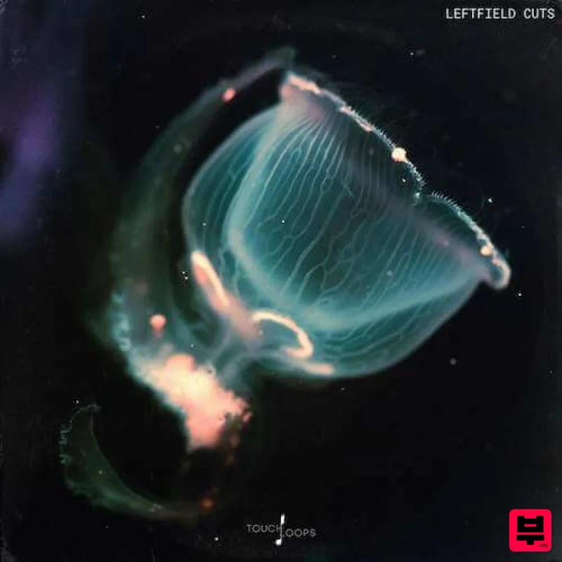 Touch Loops Leftfield Cuts - House
