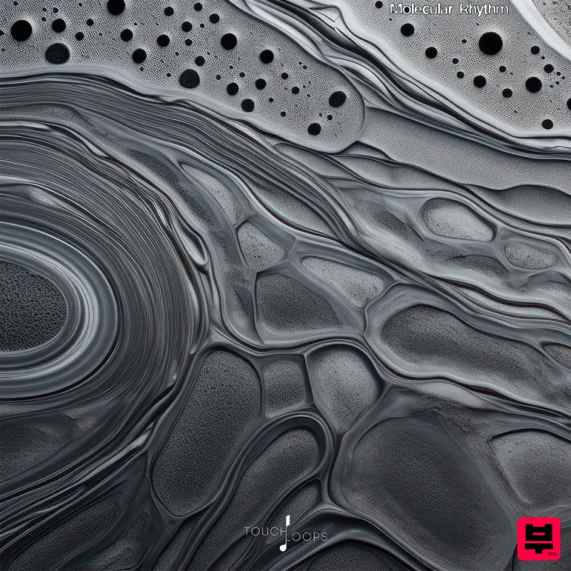 Touch Loops Molecular Rhythms - Electronica