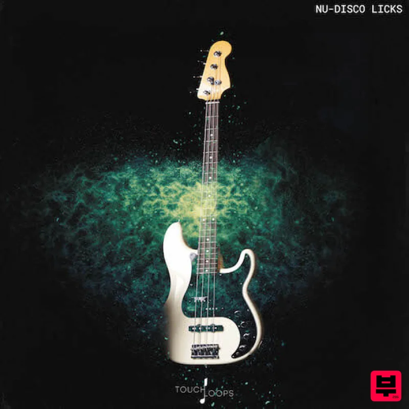 Touch Loops Nu-Disco Licks - Professional Music Instrument Photo