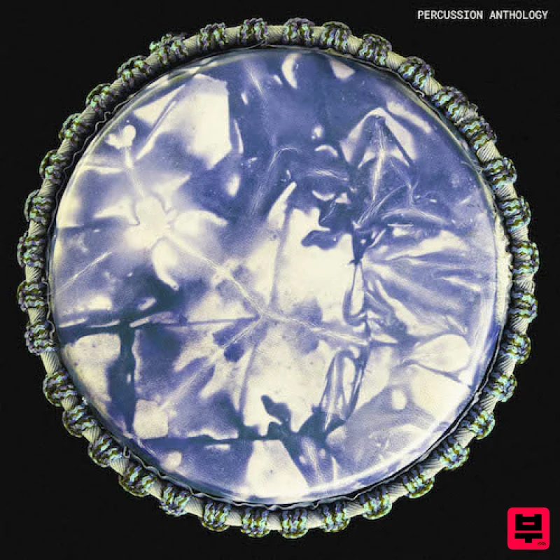 Touch Loops Percussion Anthology - Professional Music Instrument Photo