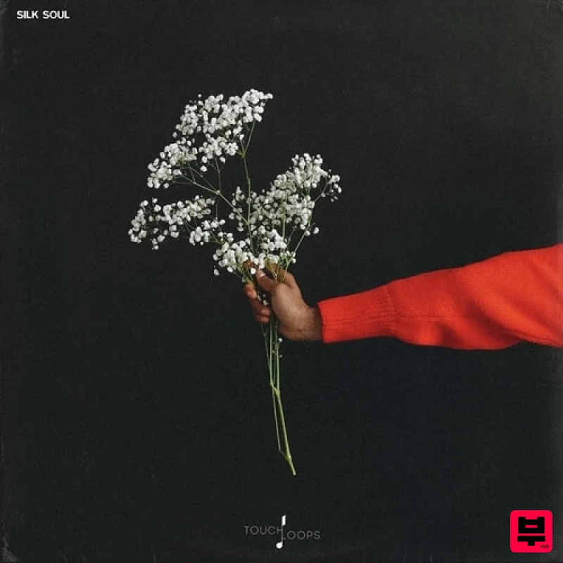 Touch Loops Silk Soul - Future Pop