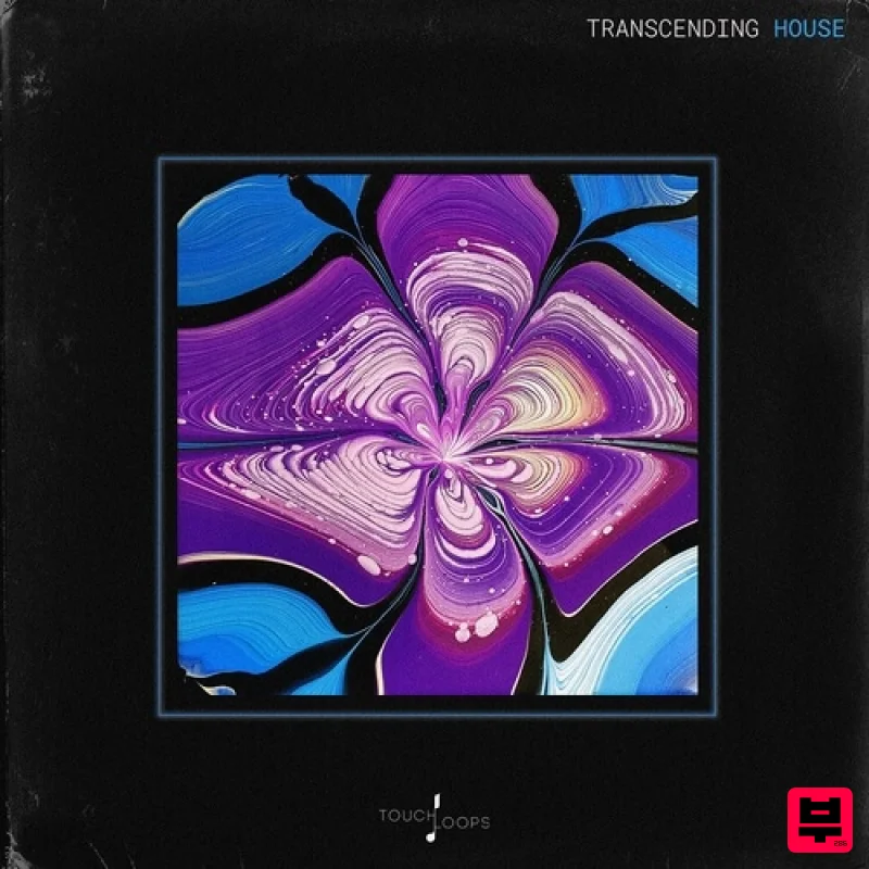 Touch Loops Transcending House - House