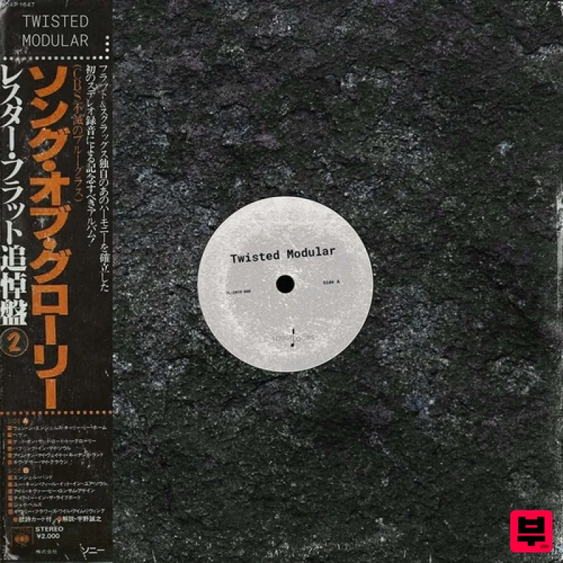 Touch Loops Twisted Modular - Analog