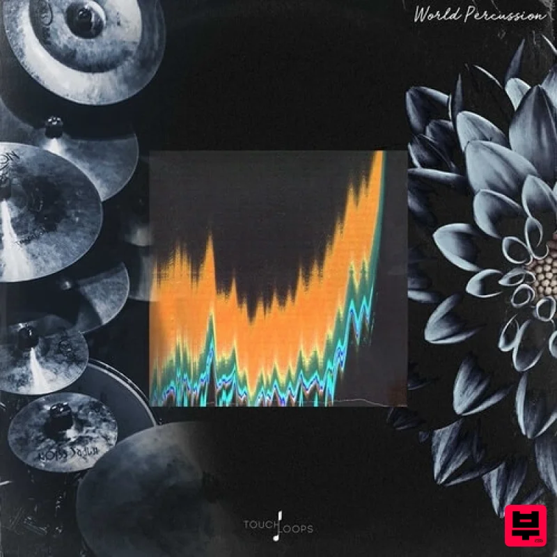 Touch Loops World Percussion - Professional Music Instrument Photo