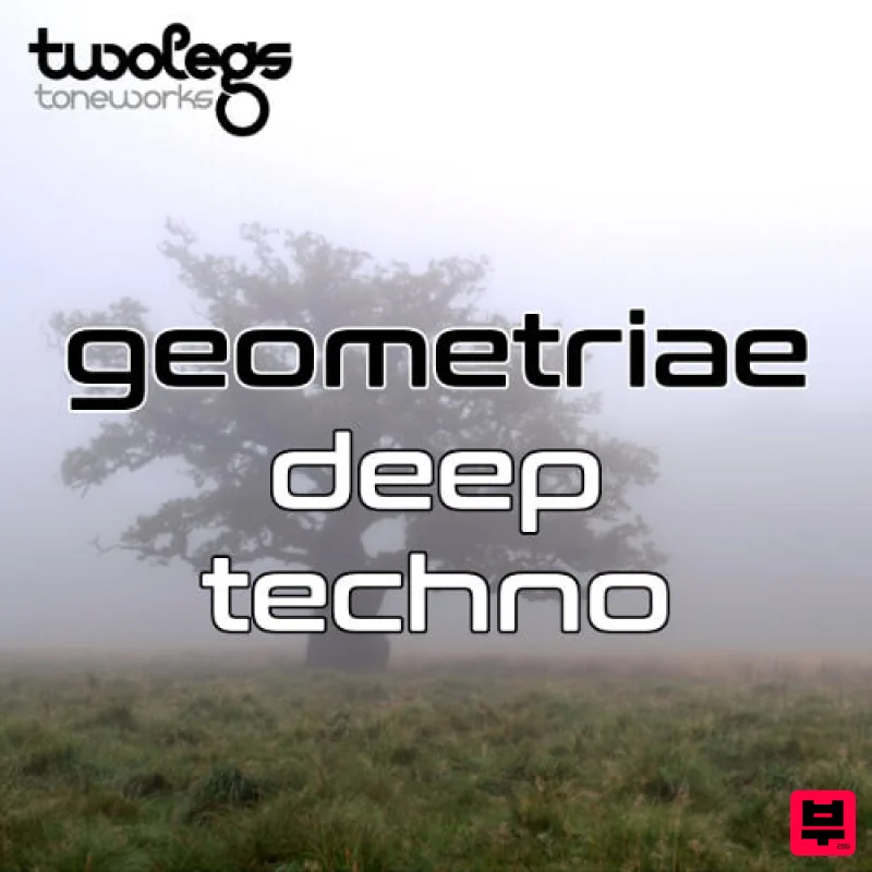 Twolegs Toneworks Geometriae Deep Techno - Dub Techno