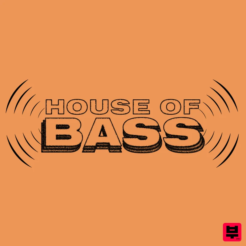 UNDRGRND Sounds House Of Bass - Professional Music Instrument Photo