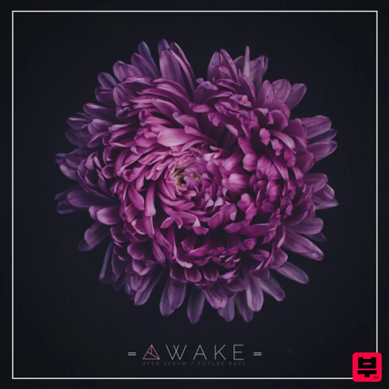 Unmüte Unmüte Awake For Serum - Future Bass