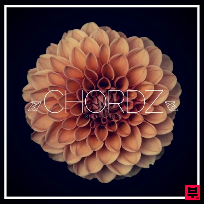 Unmüte Unmüte Chordz - Future Bass