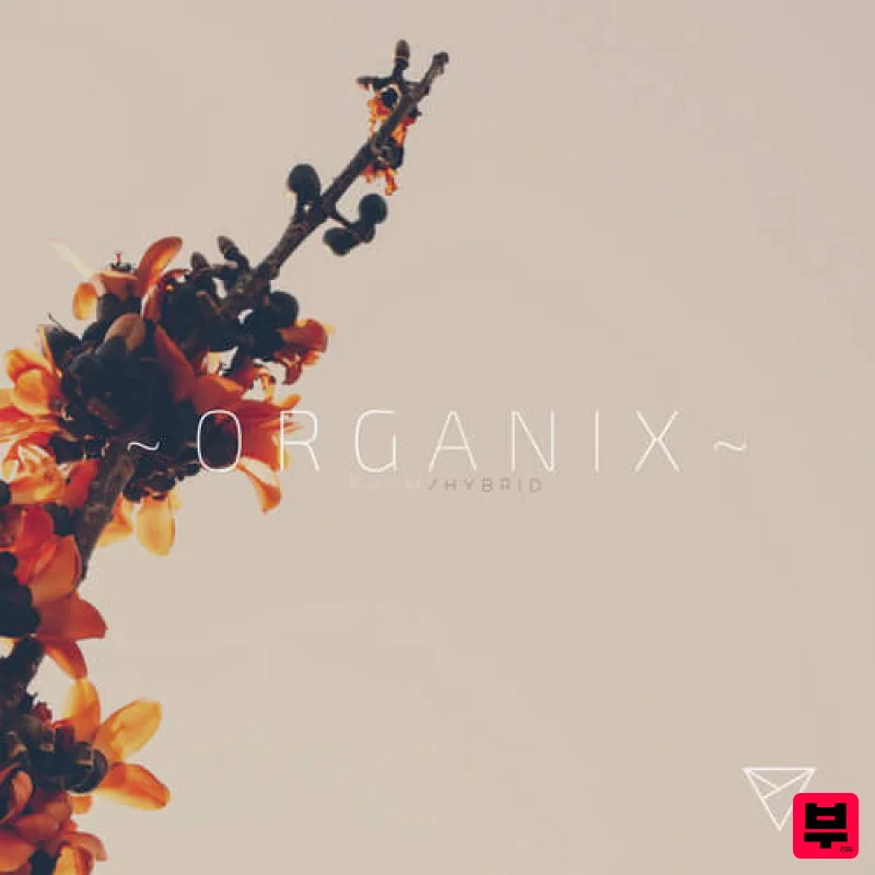 Unmüte Unmüte Organix For Serum - Future Bass