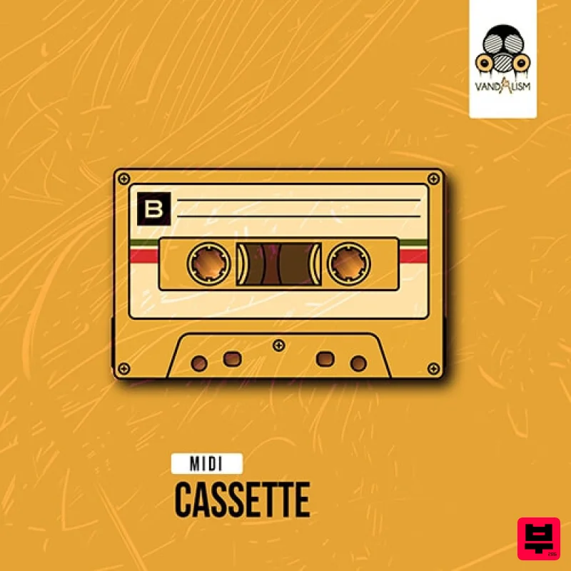 Vandalism MIDI Cassette - Professional Music Instrument Photo