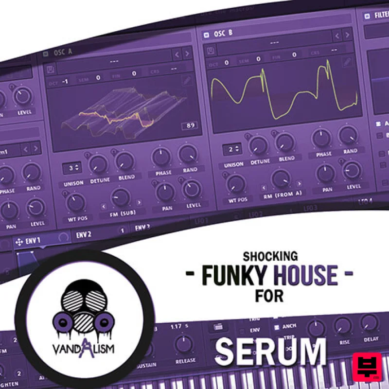 Vandalism Shocking Funky House For Serum - Disco