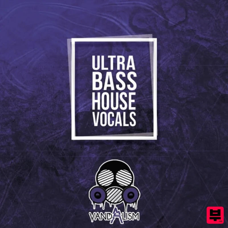 Vandalism Ultra Bass House Vocals - Professional Music Instrument Photo