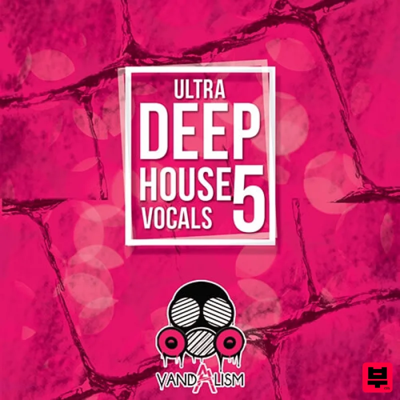 Vandalism Ultra Deep House Vocals 5 - Professional Music Instrument Photo