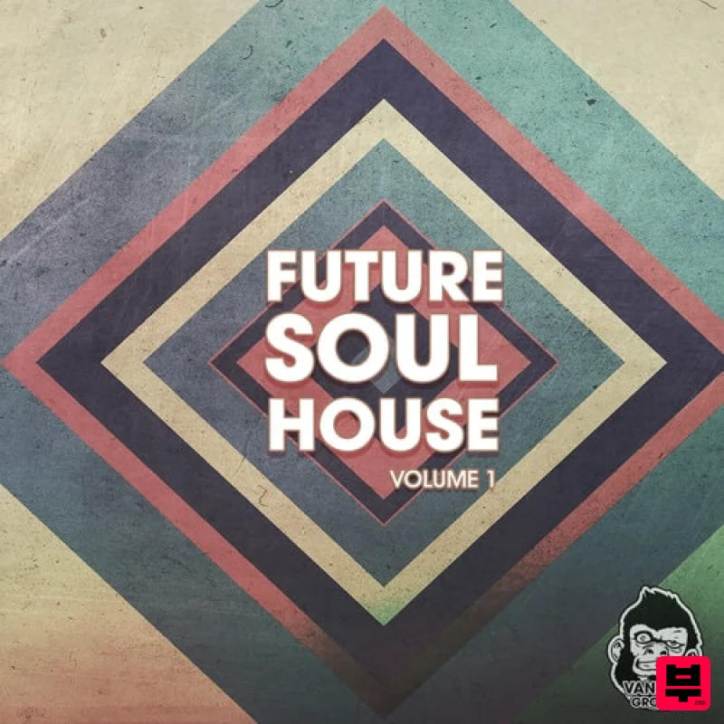 Vanilla Groove Studios Future Soul House Vol.1 - Future House