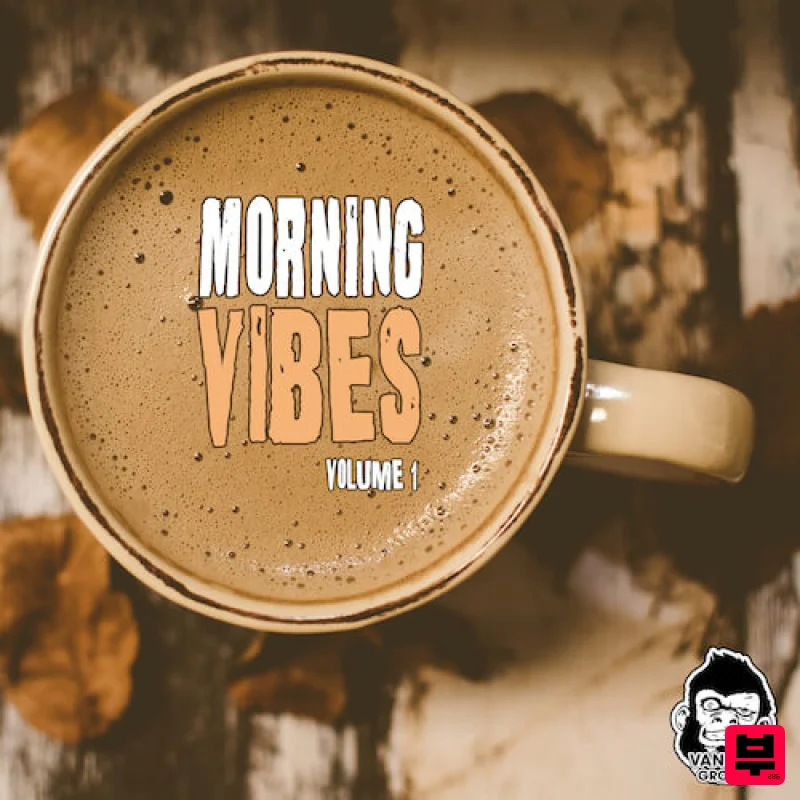 Vanilla Groove Studios Morning Vibes Vol 1 - Lofi
