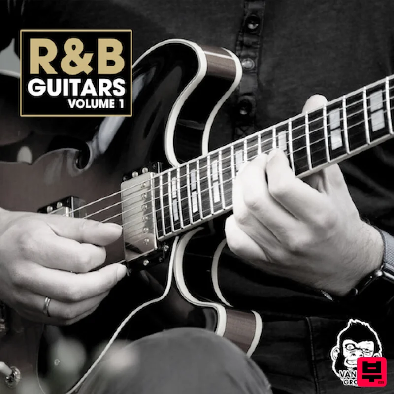 Vanilla Groove Studios R&B Guitars Vol 1 - Professional Music Instrument Photo