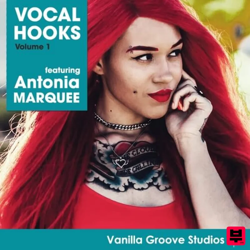 Vanilla Groove Studios Vocal Hooks Vol.1 - Pop