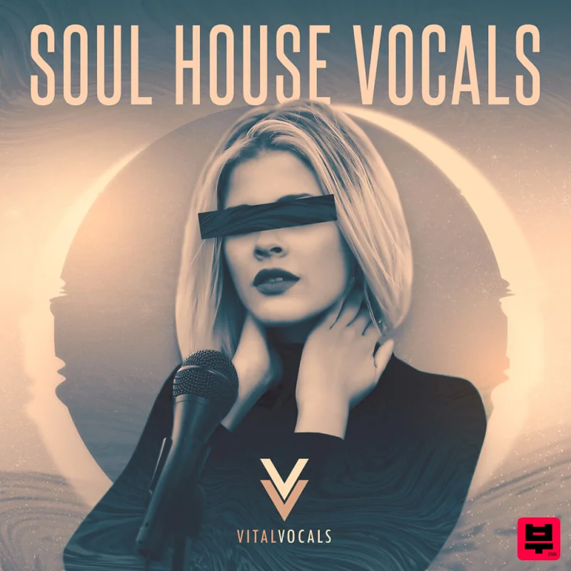 Vital Vocals Soul House Vocals - House