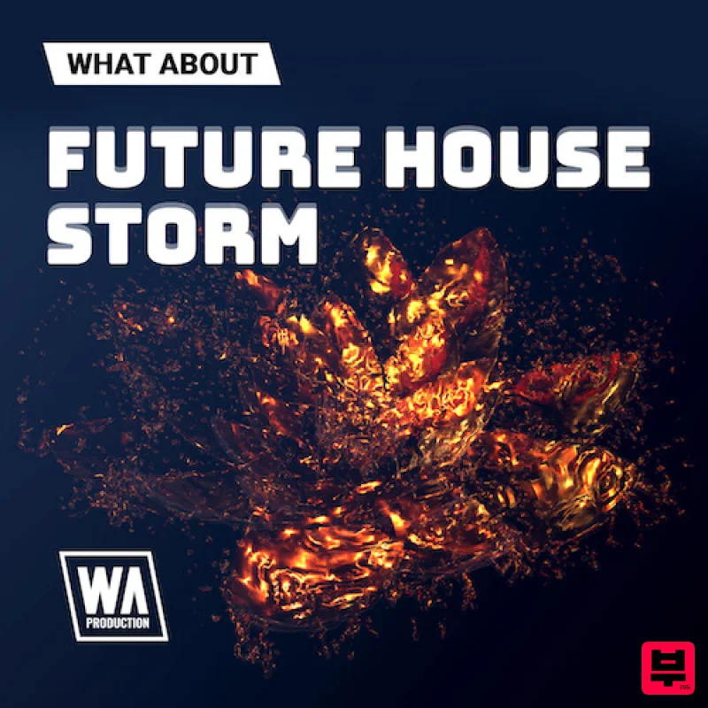 W.A. Production What About: Future House Storm - EDM