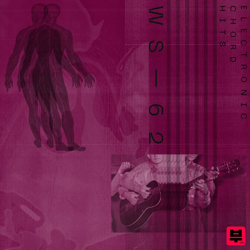 Wavetick Electronic Chord Hits - House