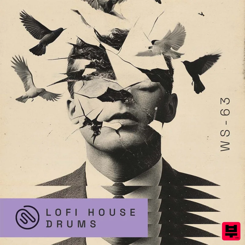 Wavetick LoFi House Drums - Lo-Fi House