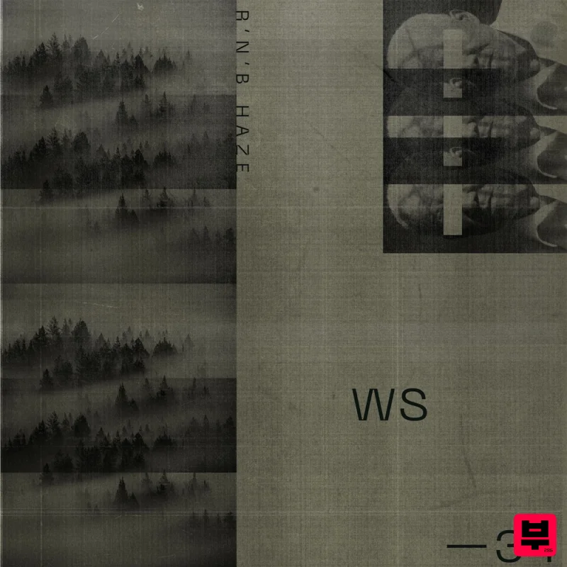 Wavetick RnB Haze - Professional Music Instrument Photo