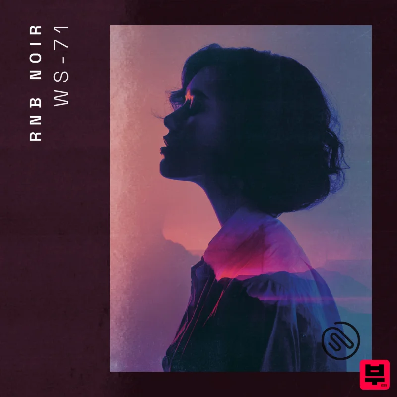 Wavetick RnB Noir - Professional Music Instrument Photo