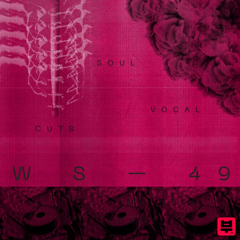 Wavetick Soul Vocal Cuts - Soul