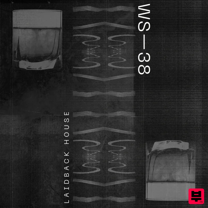 Wavetick Wavetick - Laidback House - Professional Music Instrument Photo