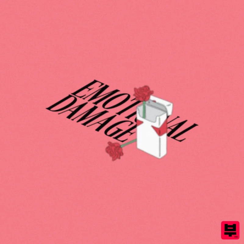 WeTheSound Emotional Damage - Hip Hop