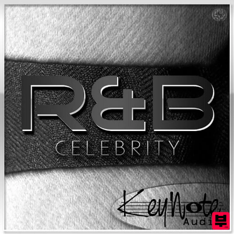 YnK Audio R&B Celebrity - Professional Music Instrument Photo