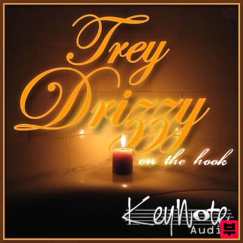 YnK Audio Trey Drizzy On The Hook - Pop