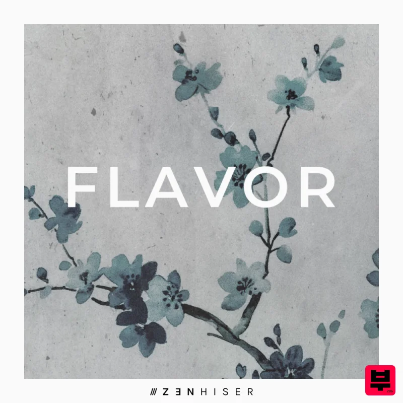 Zenhiser Flavor - Trip Hop