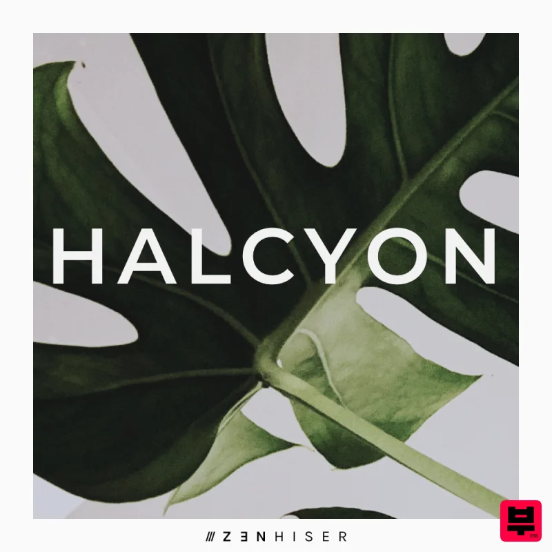 Zenhiser Halcyon - Electro House