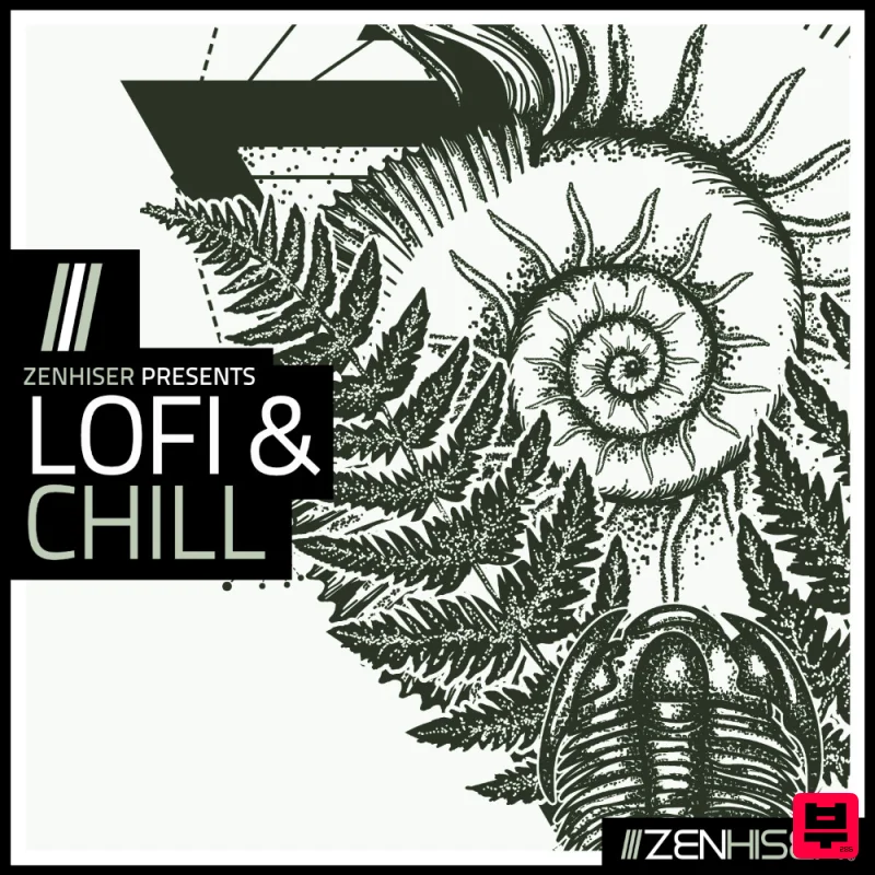 Zenhiser Lofi & Chill - Professional Music Instrument Photo