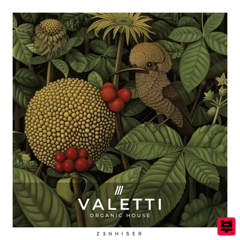 Zenhiser Valetti - Organic House - House