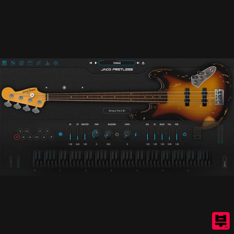 Ample Sound Ample Bass Jaco Fretless - Professional Music Instrument Photo