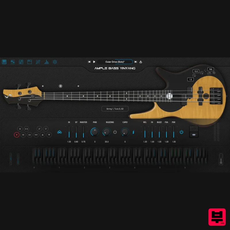 Ample Sound Ample Bass Yinyang - Professional Music Instrument Photo