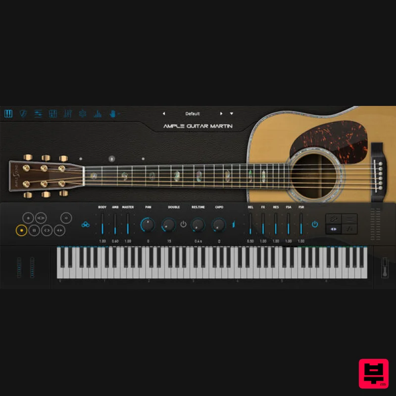 Ample Sound Ample Guitar M - Professional Music Instrument Photo