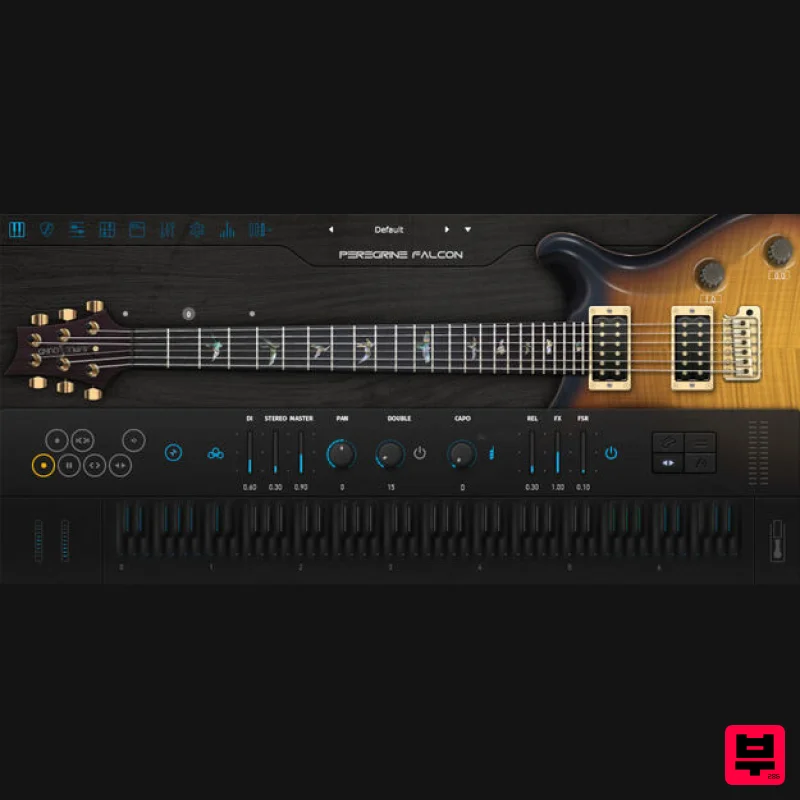 Ample Sound Ample Guitar Peregrine Falcon - Professional Music Instrument Photo