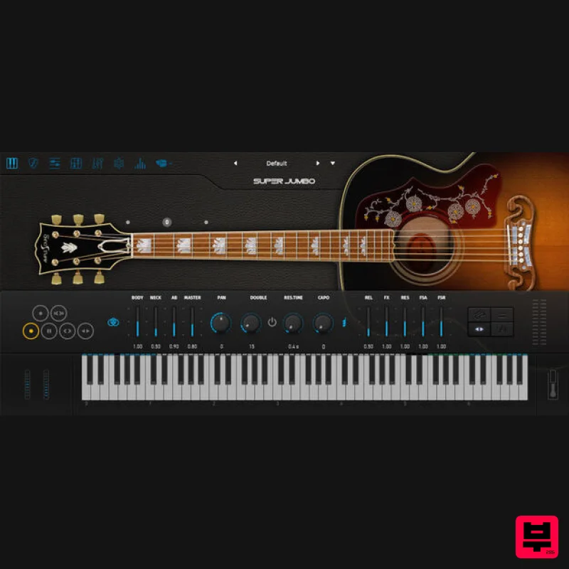 Ample Sound Ample Guitar SJ - Professional Music Instrument Photo