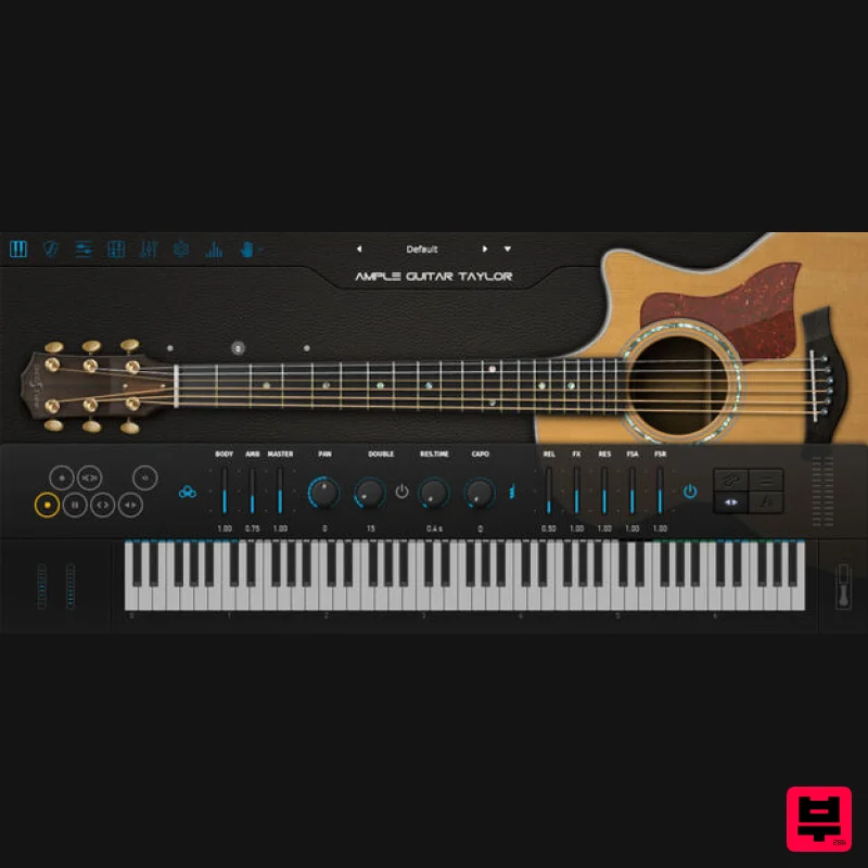 Ample Sound Ample Guitar T - Professional Music Instrument Photo