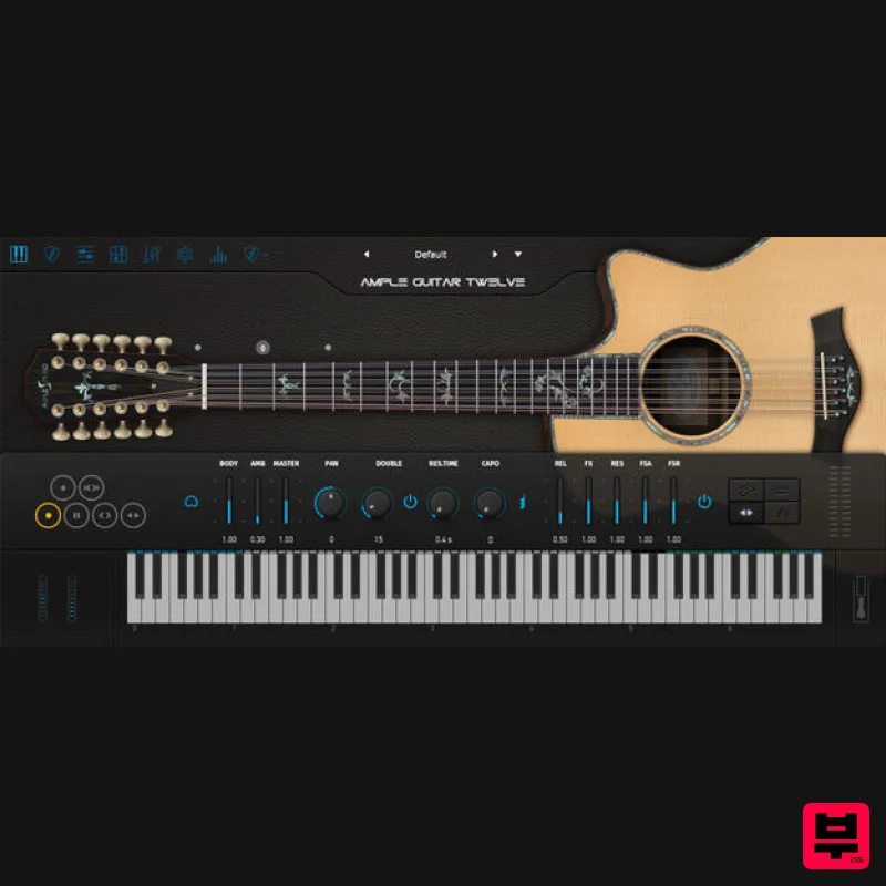 Ample Sound Ample Guitar Twelve - Professional Music Instrument Photo