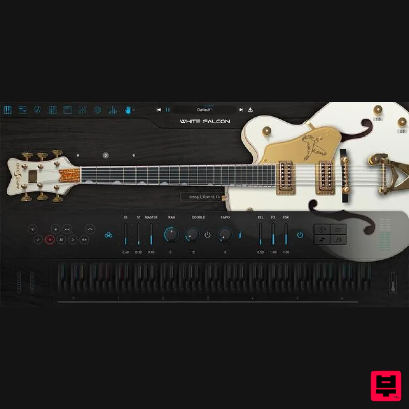 Ample Sound Ample Guitar WF - Professional Music Instrument Photo