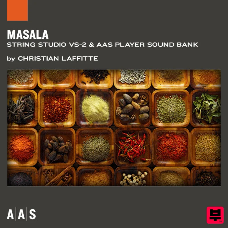 Applied Acoustics Systems Masala String Studio VS-3 Sound Bank - Professional Music Instrument Photo