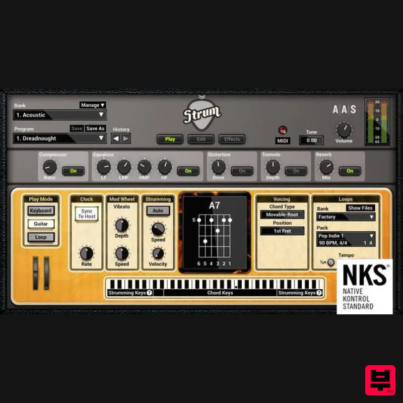 Applied Acoustics Systems Strum GS-2 - Professional Music Instrument Photo