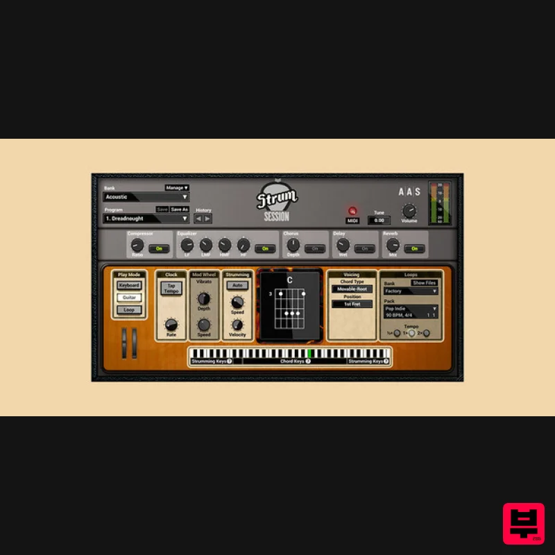 Applied Acoustics Systems Strum Session - Professional Music Instrument Photo