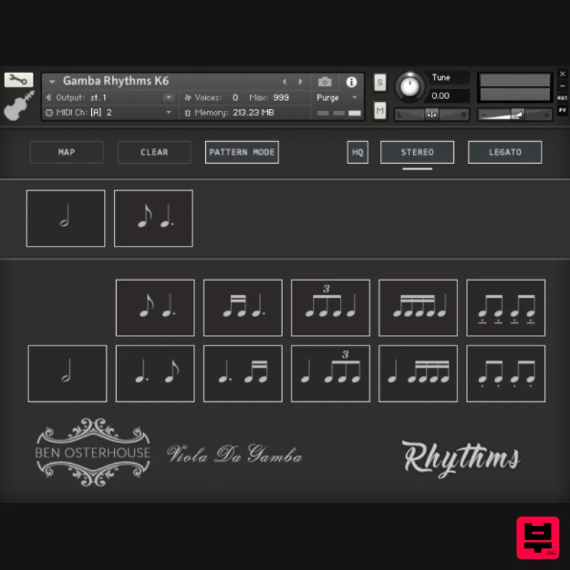 Ben Osterhouse Viola Da Gamba - Professional Music Instrument Photo